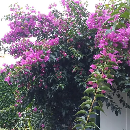Buganvilliahouse Casa de Férias *